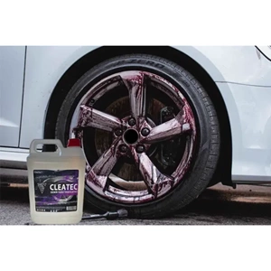 CleaTec Demir Tozu Sökücü 5LT